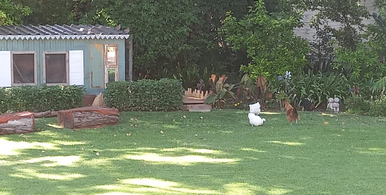 La Pension Guest House Oudtshoorn Ngoại thất bức ảnh
